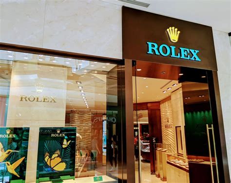 rolex tampa florida|rolex jewelers tampa.